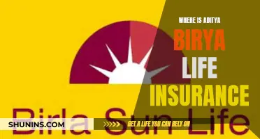 Aditya Birla Sun Life Insurance: Exploring Its Presence and Impact