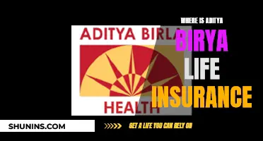 Aditya Birla Life Insurance: Where to Find the Best Policies