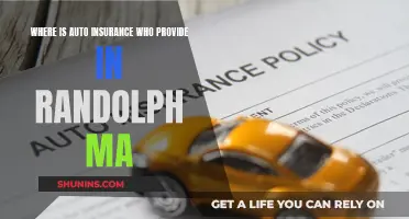 Auto Insurance Options in Randolph, MA