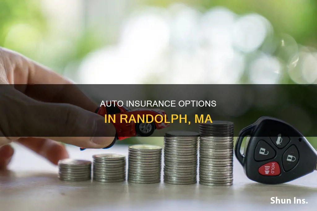 where is auto insurance who provide in randolph ma