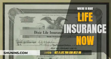 Dixie Life Insurance's Evolution: A Modern Legacy