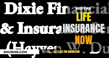 Dixie Life Insurance: Where Are They Now?