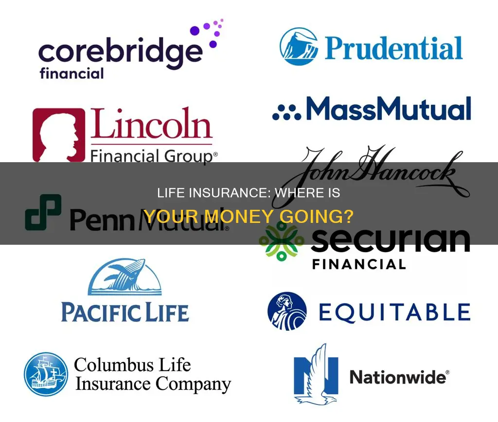 where is life insurance