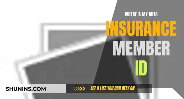 Finding Your Auto Insurance Member ID: A Quick Guide