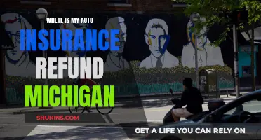 Auto Insurance Refunds: Michigan's Unclaimed Money Mystery