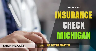 Insurance Check Delayed? How to Track It Down in Michigan