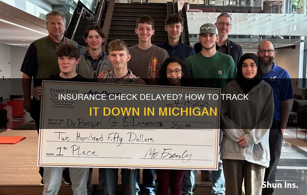 where is my insurance check michigan