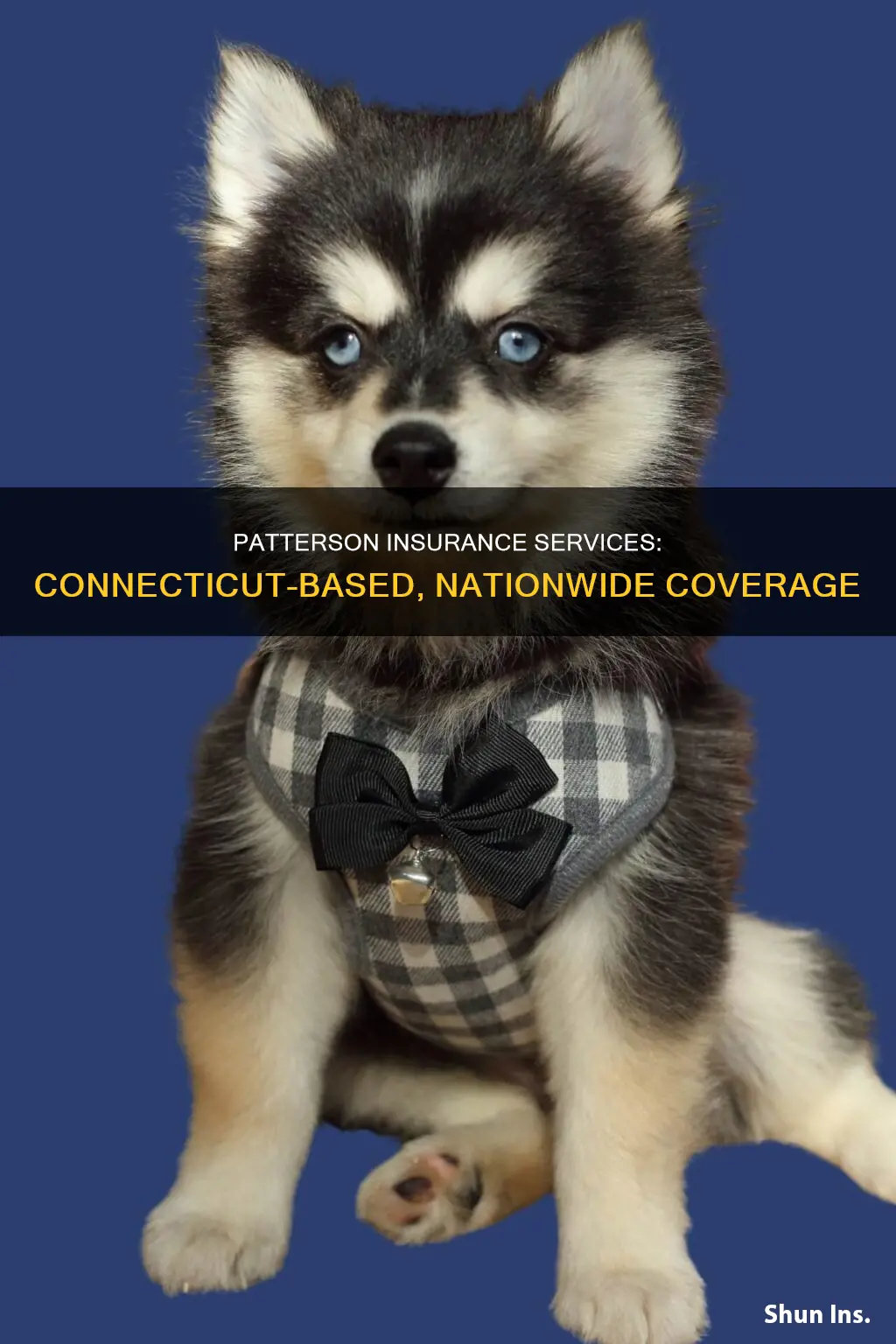 where is patterson insurance services located in connecticut
