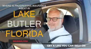 Progressive Insurance Agent in Lake Butler, Florida: Where to Find?