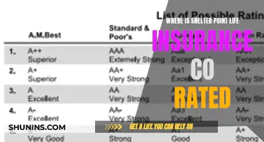 Shelter Point Life Insurance: Unveiling Its Financial Strength Ratings