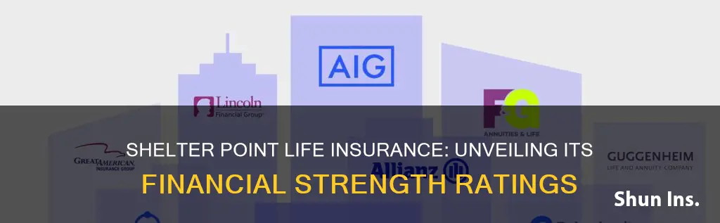 where is shelter point life insurance co rated