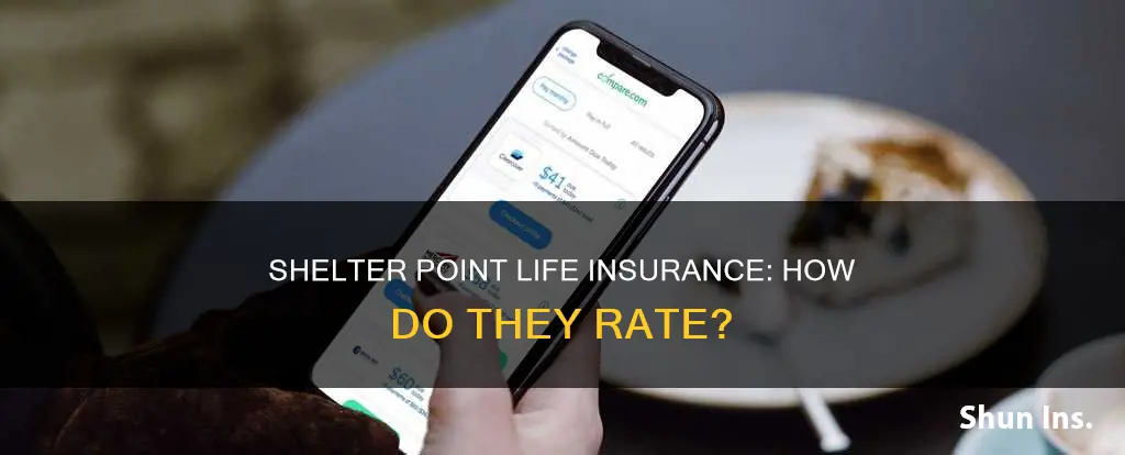 where is shelter point life insurance co rated