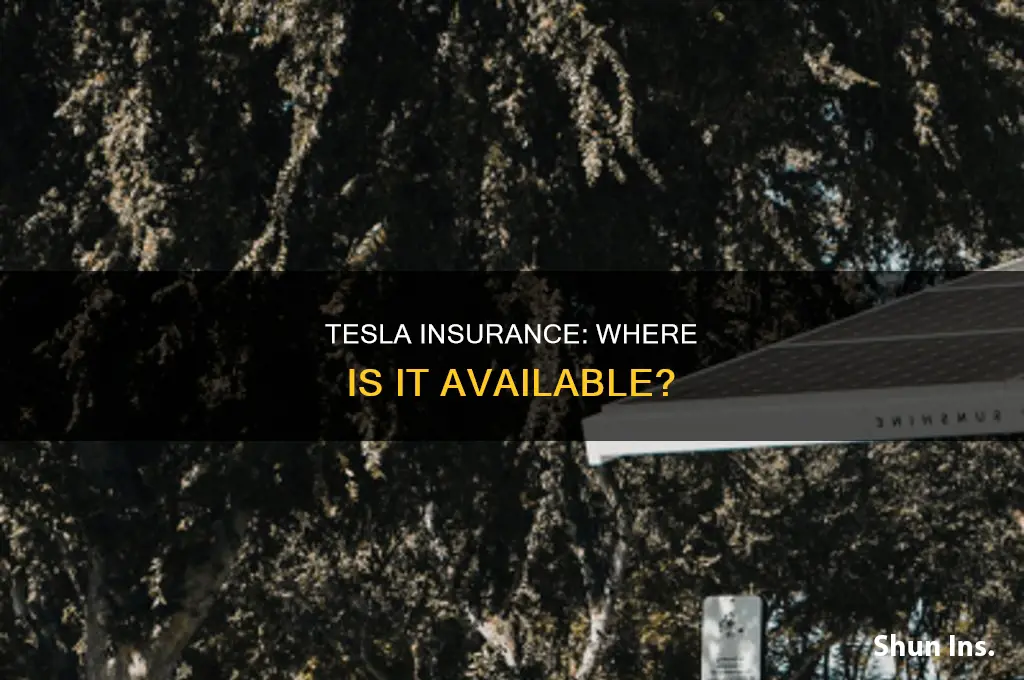 where is tesla insurance available