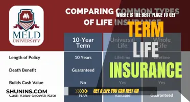 Top Term Life Insurance Providers: Find the Best Deal Here