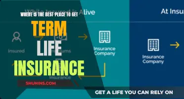 Best Places for Term Life Insurance Revealed