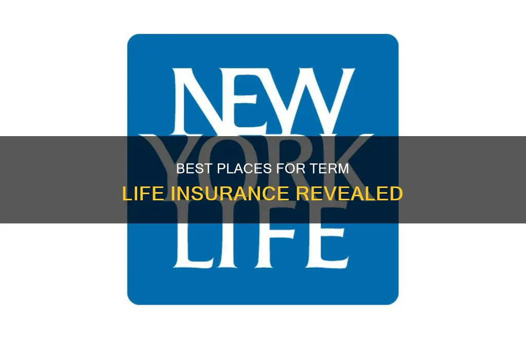where is the best place to get term life insurance