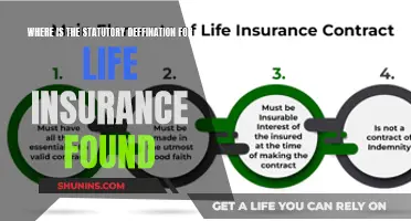 Uncover the Legal Basis: Where Life Insurance's Definition Resides