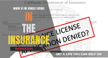 Vehicle Licence: Insurance's Missing Piece