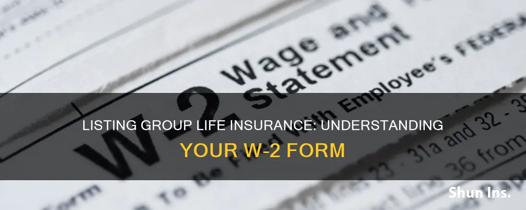 where on w2 to list group life insurance