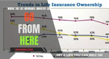 Life Insurance: The Future of Protection and Innovation