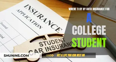 Best Auto Insurance Options for College Students