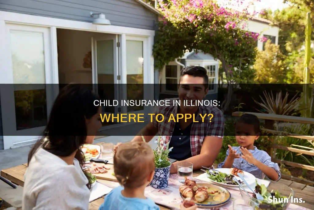 where to apply for child insurance illinois
