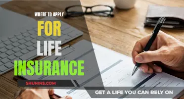 Life Insurance: Top Platforms for Application and Comparison