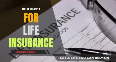 Best Life Insurance Providers: Where to Apply