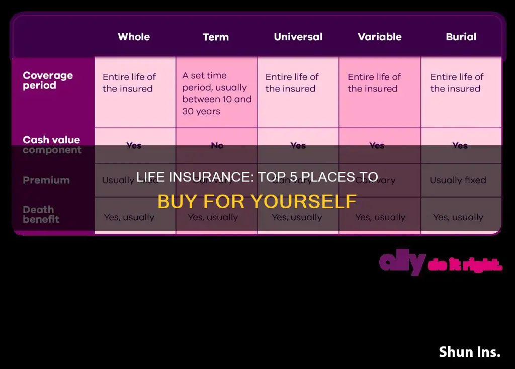 where to but life insurance for myself