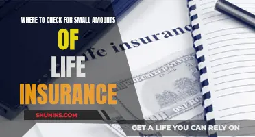 Finding Small Life Insurance Policies: Where to Look