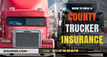 Trucker Insurance: Where LA County Residents Should Look