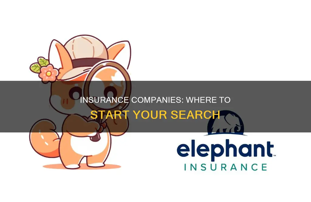 where to check out insurance companise