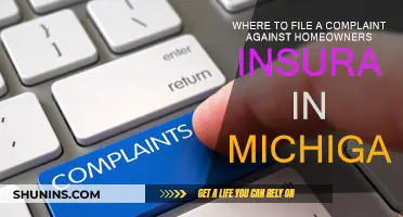 Filing a Homeowners Insurance Complaint in Michigan: Where to Start?
