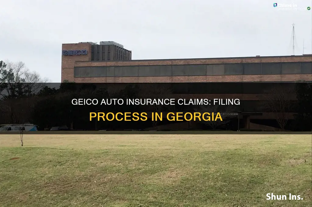 where to file auto insurance claim with geico in ga