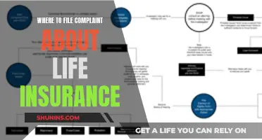 Life Insurance Complaints: Where and How to File Them