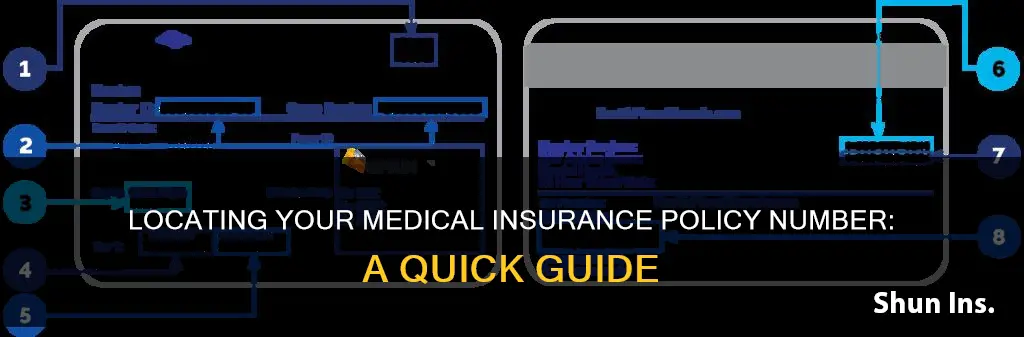 where to find medical insurence policy number