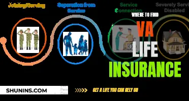 VA Life Insurance: Top Providers and Coverage Options