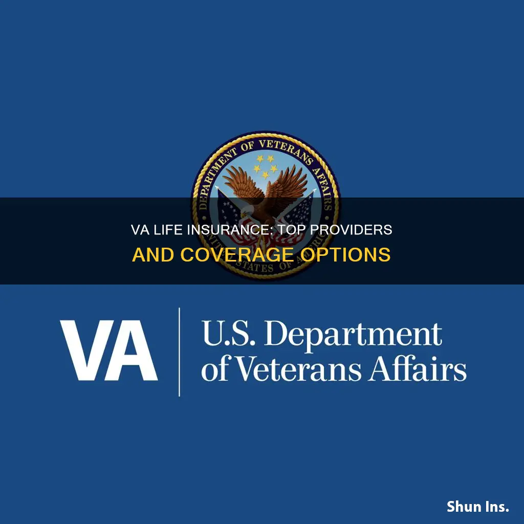 where to find va life insurance