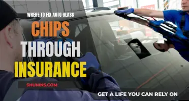 Auto Glass Chip Repair: Insurance Coverage and Options