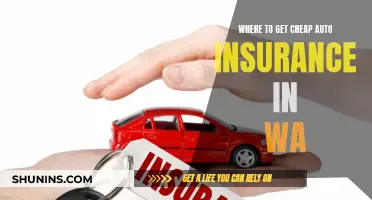 Finding Affordable Auto Insurance in Washington