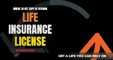 Get Your Georgia Life Insurance License: Quick Guide