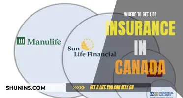 Life Insurance Options: Top Providers in Canada