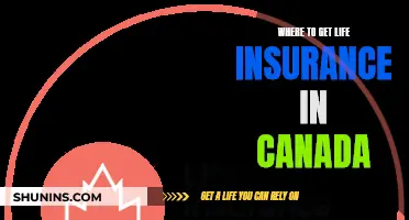 Life Insurance in Canada: Best Places to Get Covered