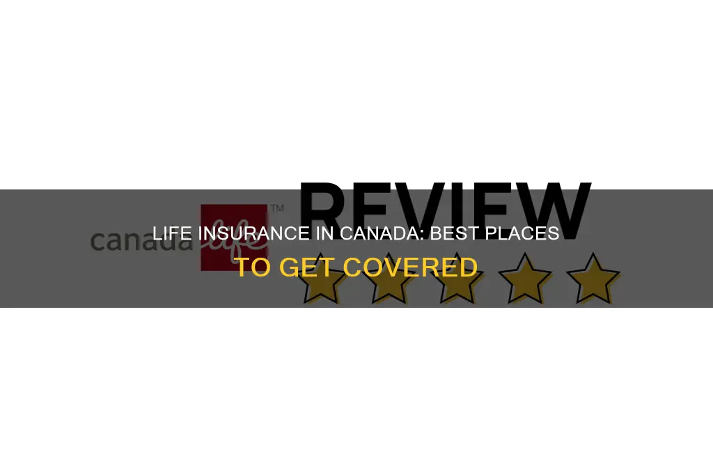 where to get life insurance in canada