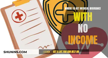 Free or Affordable Health Insurance: No Income, No Problem