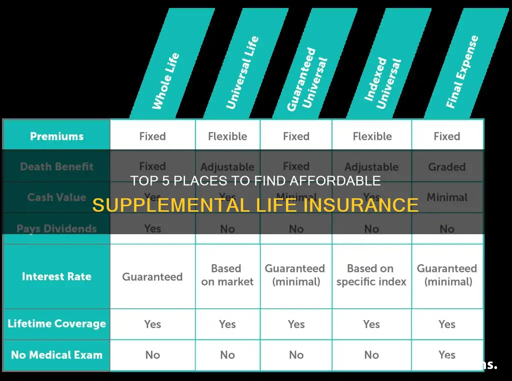 where to get supplemental life insurance