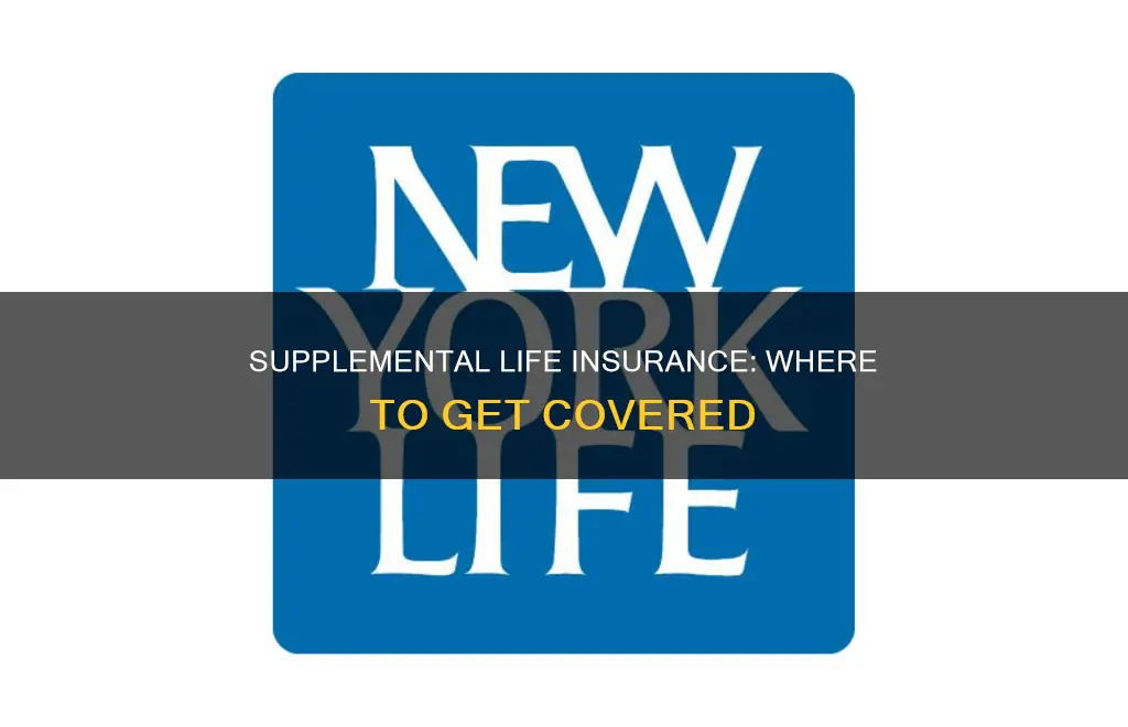 where to get supplemental life insurance