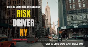 High-Risk Auto Insurance for New York Drivers: Where to Go?