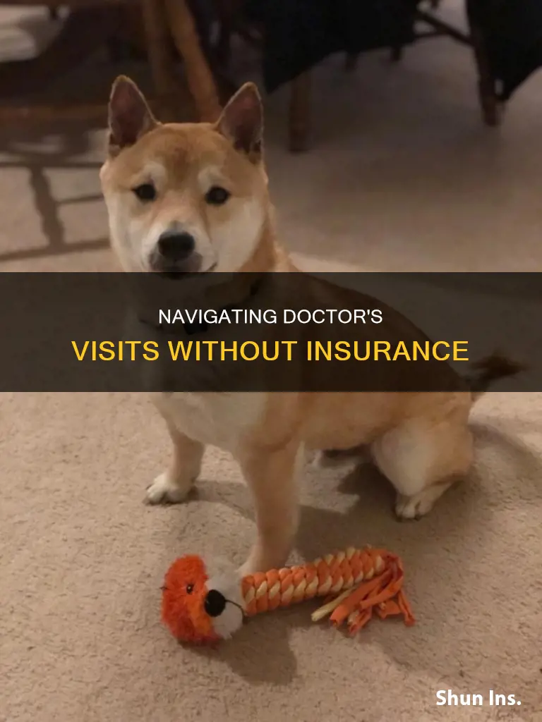 where to go for dr when you don