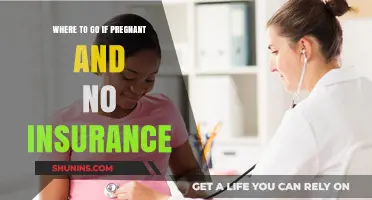 Pregnant and Uninsured: Exploring Your Healthcare Options